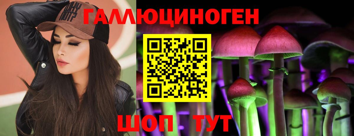 Шадринск  как найти закладки  Вход с VPN  Псилоцибиновые грибы Psilocybe  Псилоцибиновые грибы Psilocybine cubensis 